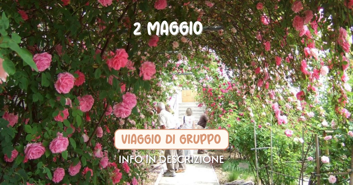 festa delle rose A NOVA GORICA